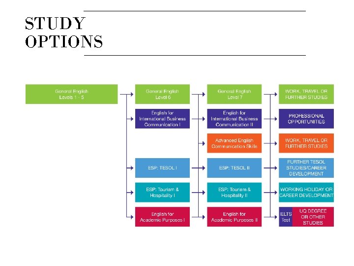 STUDY OPTIONS 