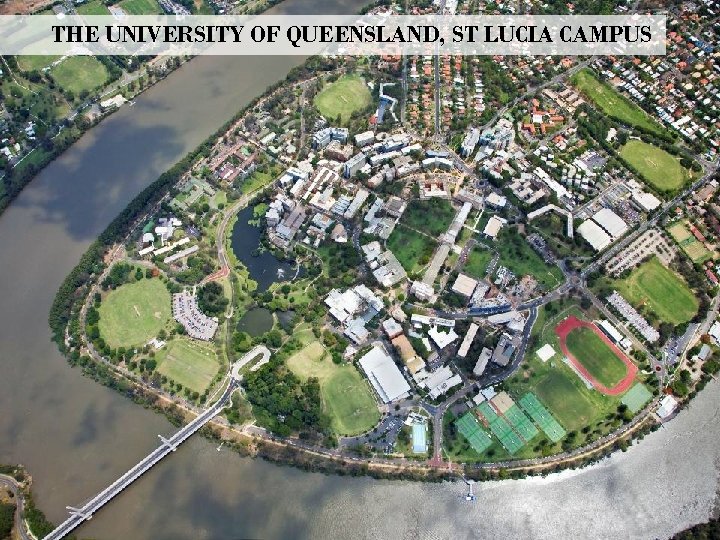 THE UNIVERSITY OF QUEENSLAND, ST LUCIA CAMPUS 