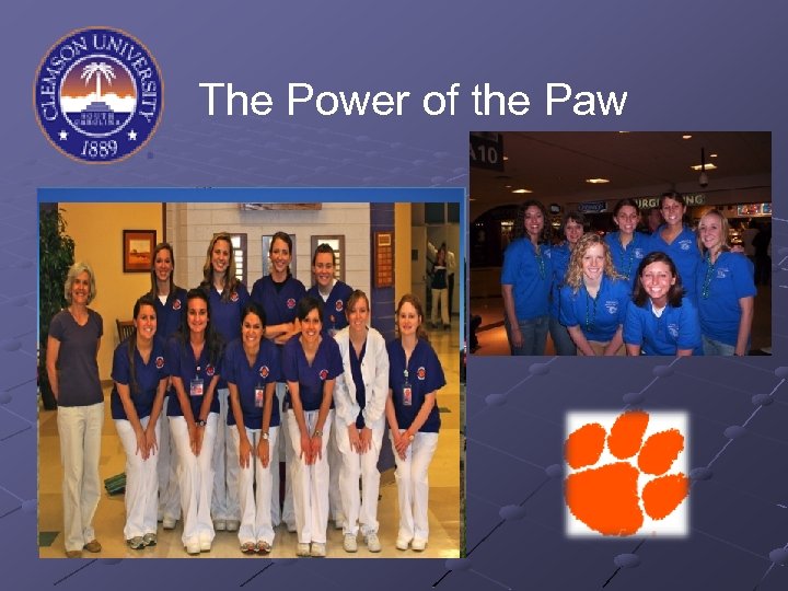 The Power of the Paw 