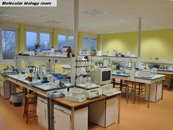 Molecular biology room 