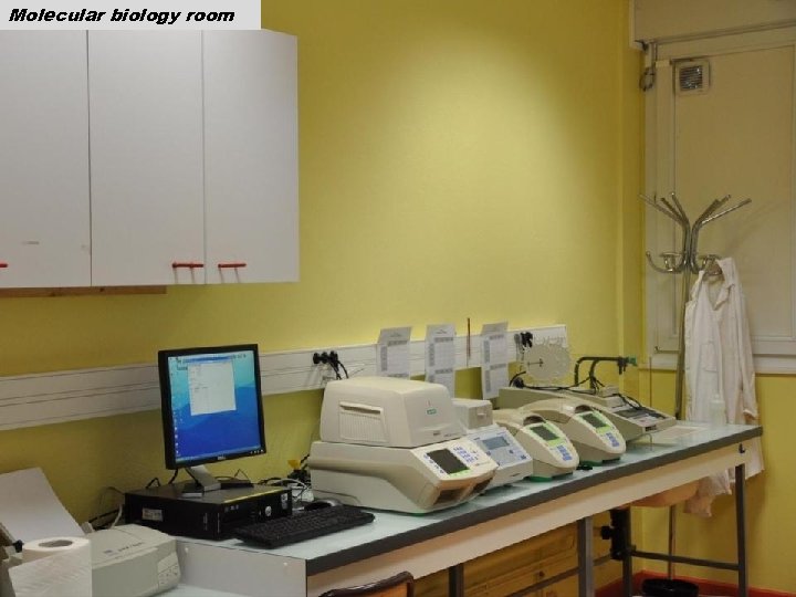 Molecular biology room 