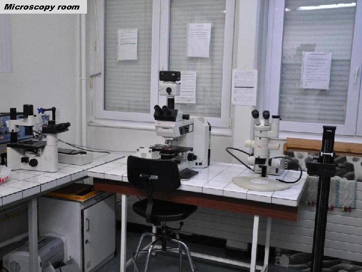 Microscopy room 