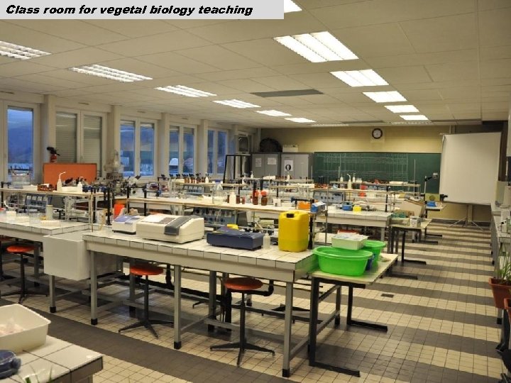 Class room for vegetal biology teaching 