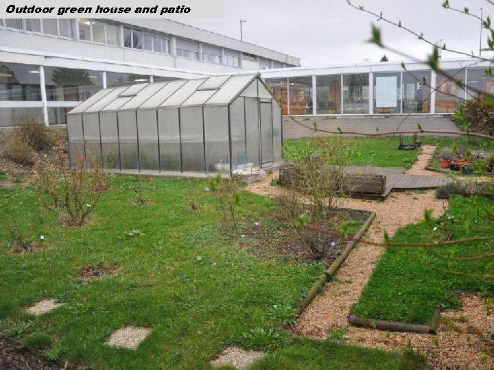 Outdoor green house and patio 