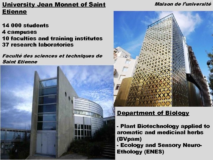 University Jean Monnet of Saint Etienne Maison de l’université 14 000 students 4 campuses