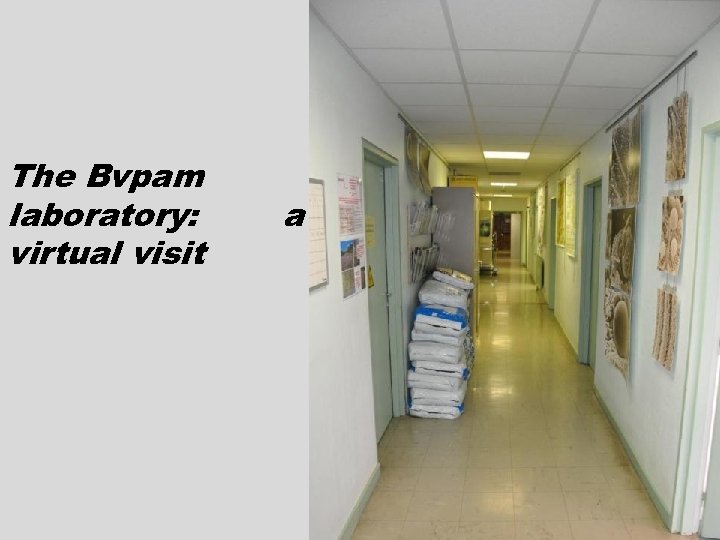 The Bvpam laboratory: virtual visit a 