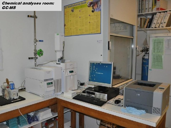 Chemical analyses room: GC-MS 