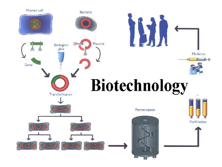 BIOTECHNOLOGY 
