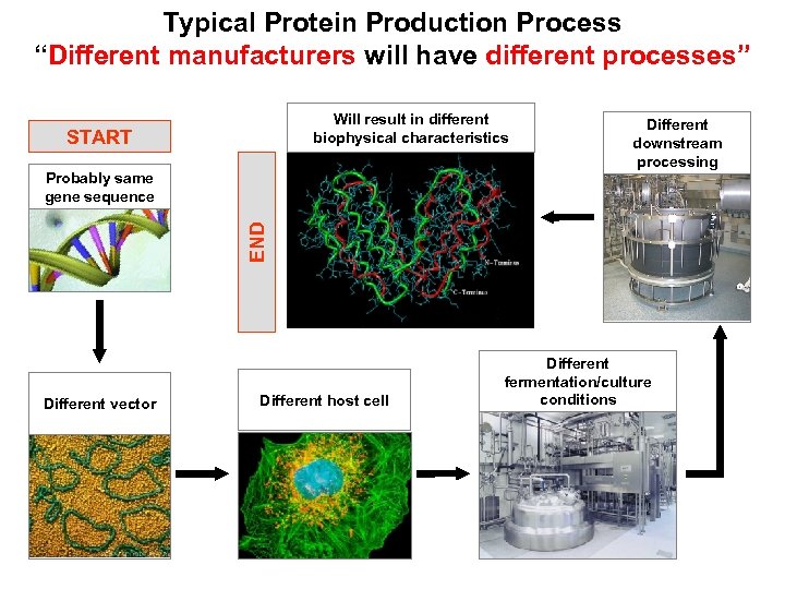 Typical Protein Production Process “Different manufacturers will have different processes” Will result in different