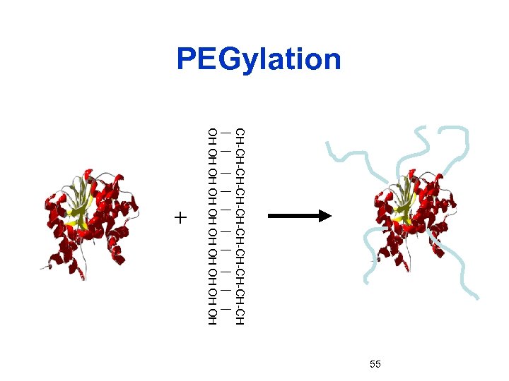 PEGylation CH-CH-CH-CH-CH-CH | | | | | OH OH OH + 55 