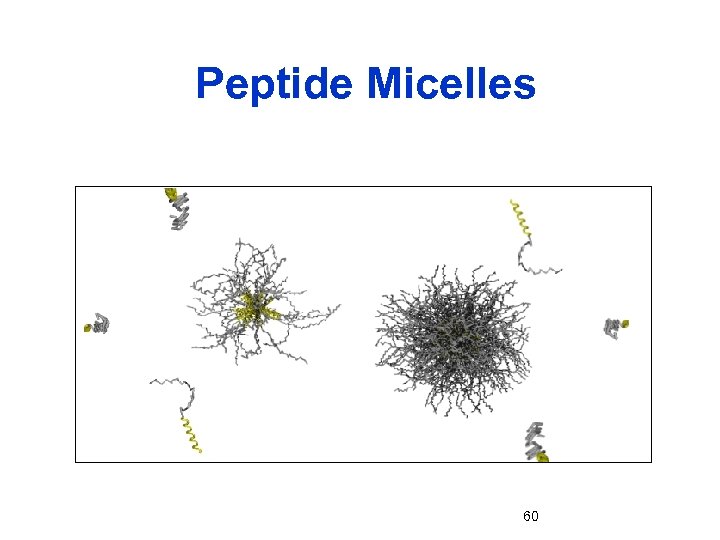 Peptide Micelles 60 