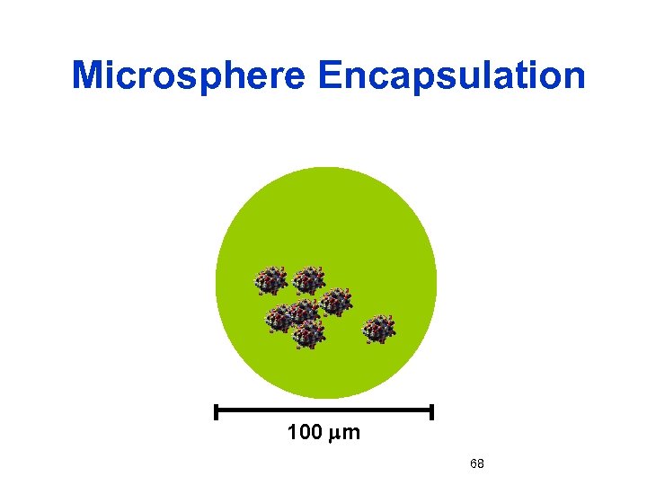 Microsphere Encapsulation 100 mm 68 