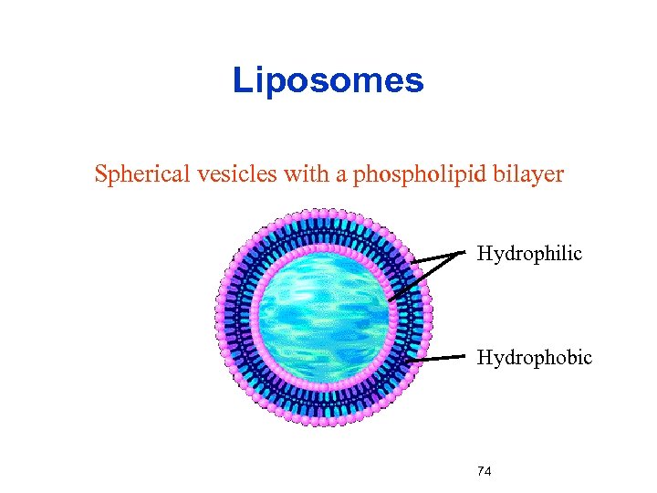 Liposomes Spherical vesicles with a phospholipid bilayer Hydrophilic Hydrophobic 74 