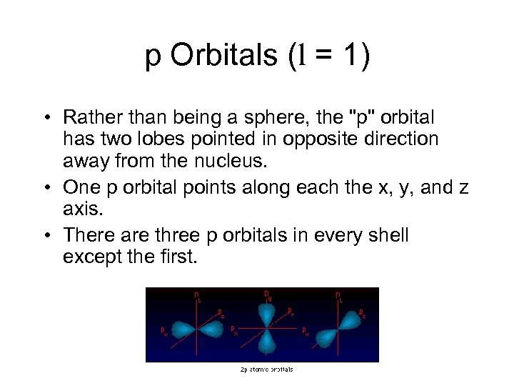 p Orbitals (l = 1) • Rather than being a sphere, the "p" orbital