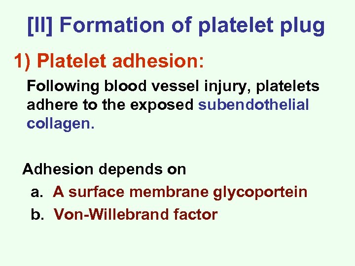 [II] Formation of platelet plug 1) Platelet adhesion: Following blood vessel injury, platelets adhere