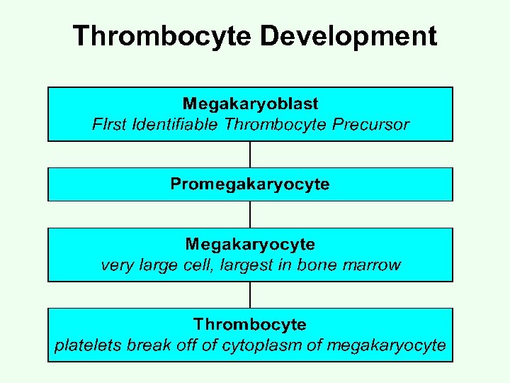 Thrombocyte Development 