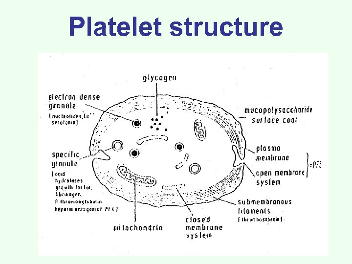 Platelet structure 
