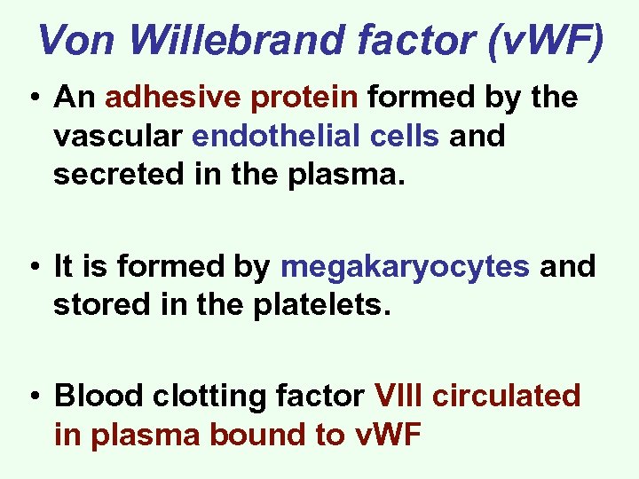 Von Willebrand factor (v. WF) • An adhesive protein formed by the vascular endothelial