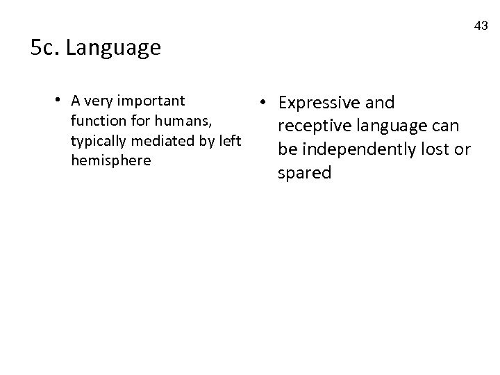 43 5 c. Language • A very important function for humans, typically mediated by