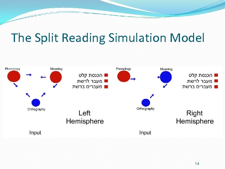 The Split Reading Simulation Model 14 