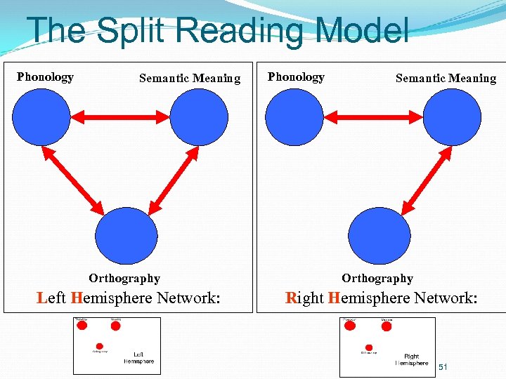The Split Reading Model Phonology Semantic Meaning Orthography Left Hemisphere Network: Phonology Semantic Meaning