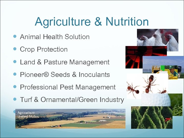 Agriculture & Nutrition Animal Health Solution Crop Protection Land & Pasture Management Pioneer® Seeds