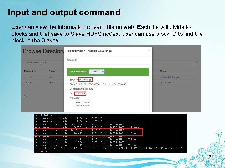 Input and output command User can view the information of each file on web.