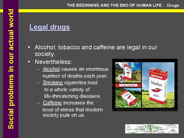 Social problems in our actual world THE BEGINNING AND THE END OF HUMAN LIFE.