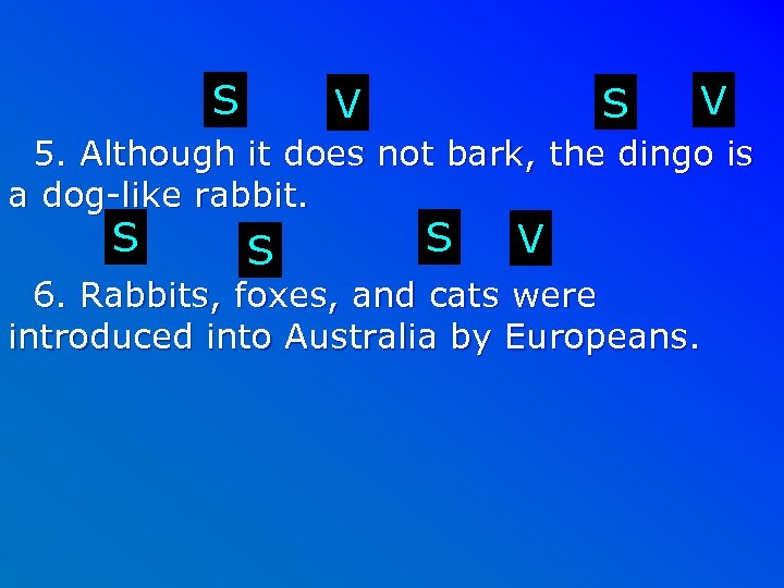 S S V V 5. Although it does not bark, the dingo is a