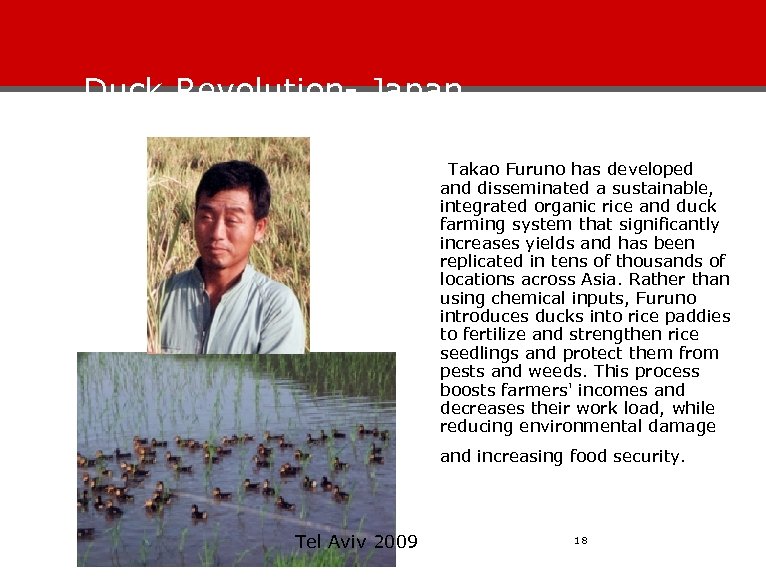 Duck Revolution- Japan Takao Furuno has developed and disseminated a sustainable, integrated organic rice