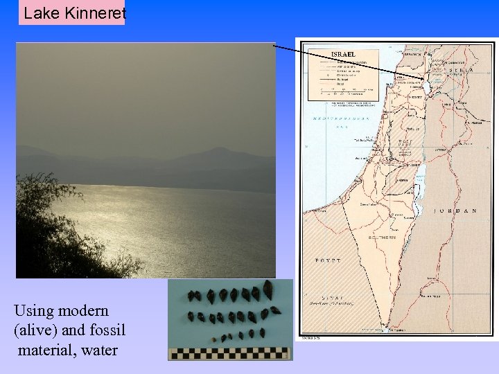 Lake Kinneret Using modern (alive) and fossil material, water 