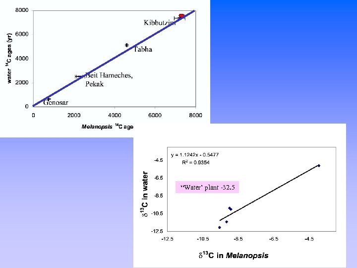 “Water’ plant -32. 5 