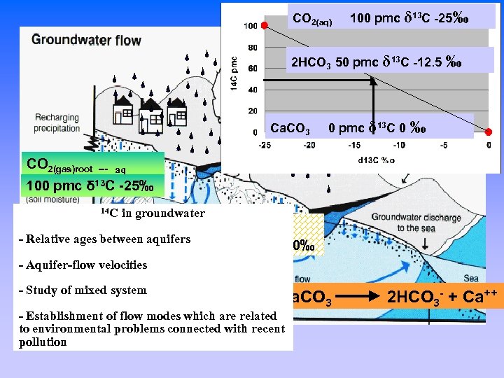 CO 2(aq) 100 pmc δ 13 C -25‰ 2 HCO 3 50 pmc δ