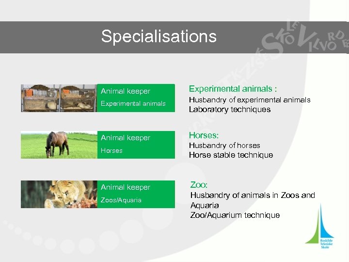 Specialisations Animal keeper Experimental animals Animal keeper Horses Husbandry of experimental animals Laboratory techniques