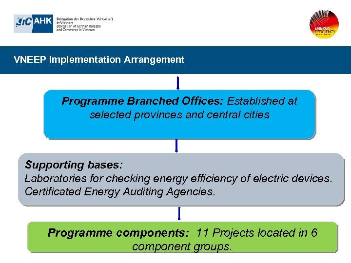 VNEEP Implementation Arrangement Programme Branched Offices: Established at selected provinces and central cities Supporting