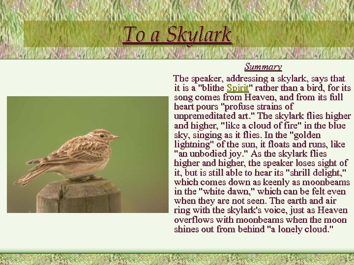 To a Skylark Summary The speaker, addressing a skylark, says that it is a