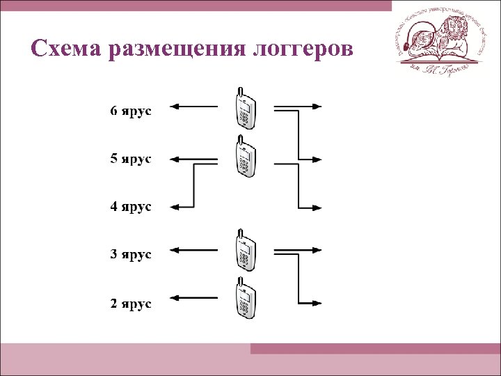 Схема размещения логгеров 
