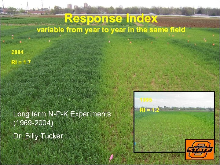 Response Index variable from year to year in the same field 2004 RI =