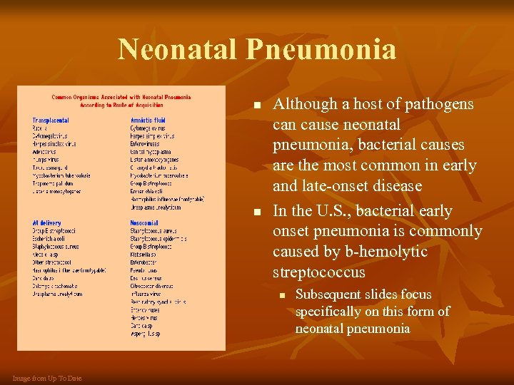 Neonatal Pneumonia n n Although a host of pathogens can cause neonatal pneumonia, bacterial