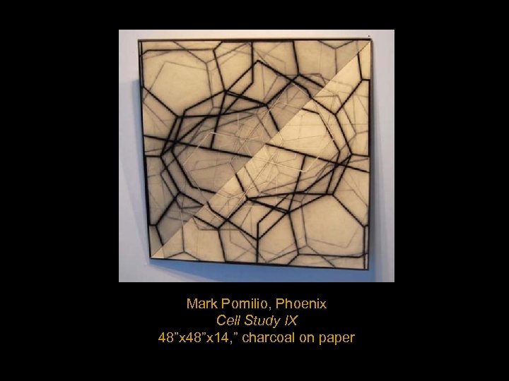 Mark Pomilio, Phoenix Cell Study IX 48”x 14, ” charcoal on paper 