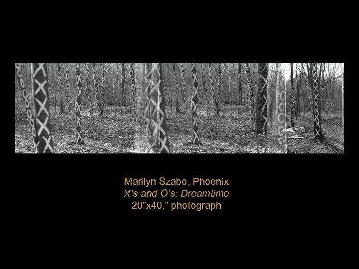 Marilyn Szabo, Phoenix X’s and O’s: Dreamtime 20”x 40, ” photograph 