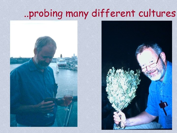 . . probing many different cultures 