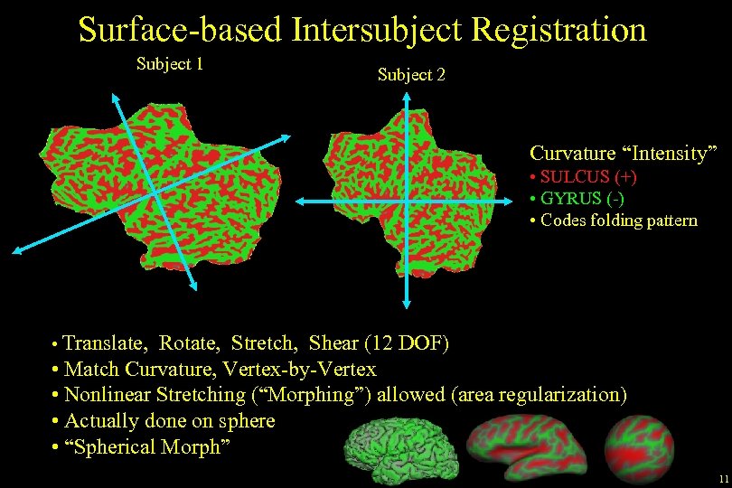Surface-based Intersubject Registration Subject 1 Subject 2 Curvature “Intensity” • SULCUS (+) • GYRUS
