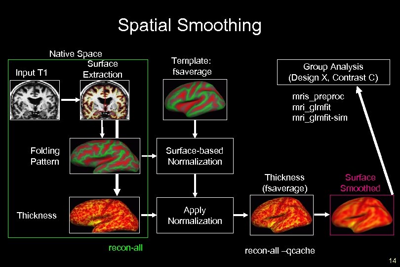 Spatial Smoothing Native Space Surface Input T 1 Extraction Template: fsaverage Group Analysis (Design