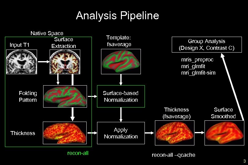 Analysis Pipeline Native Space Surface Input T 1 Extraction Template: fsaverage Group Analysis (Design