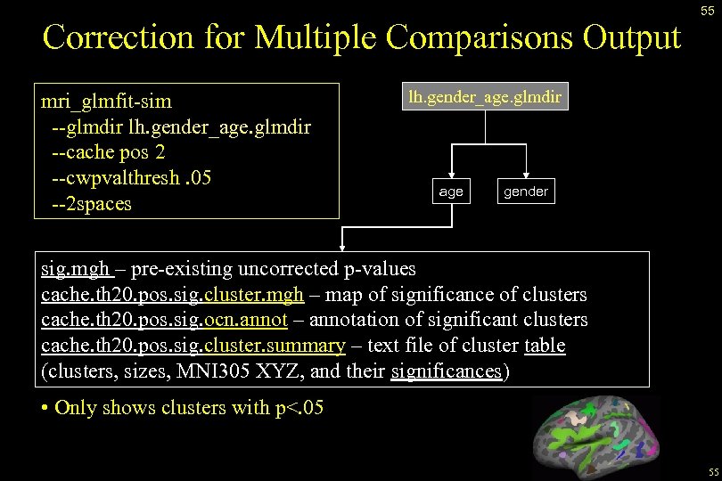 Correction for Multiple Comparisons Output mri_glmfit-sim --glmdir lh. gender_age. glmdir --cache pos 2 --cwpvalthresh.