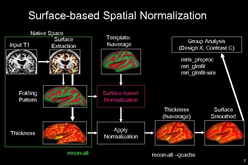 Surface-based Spatial Normalization Native Space Surface Input T 1 Extraction Template: fsaverage Group Analysis