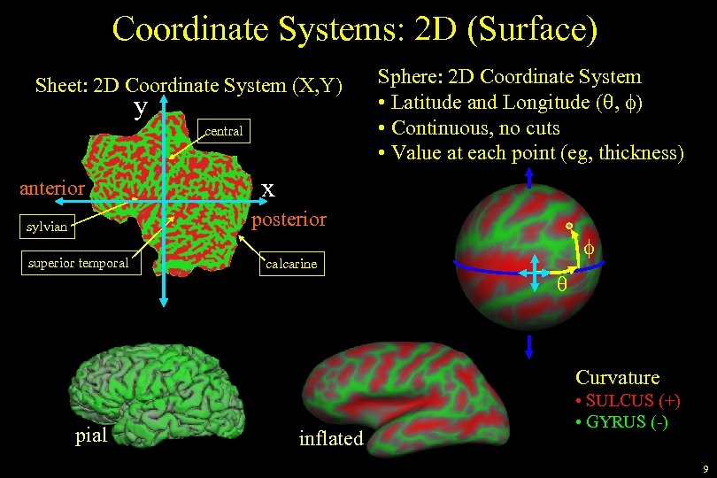 Coordinate Systems: 2 D (Surface) Sheet: 2 D Coordinate System (X, Y) y central