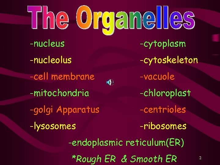 -nucleus -cytoplasm -nucleolus -cytoskeleton -cell membrane -vacuole -mitochondria -chloroplast -golgi Apparatus -centrioles -lysosomes -ribosomes