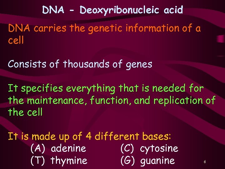DNA - Deoxyribonucleic acid DNA carries the genetic information of a cell Consists of